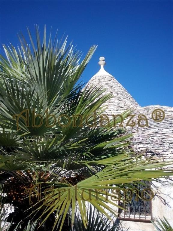 Agriturismo Abbondanza Villa Alberobello Luaran gambar