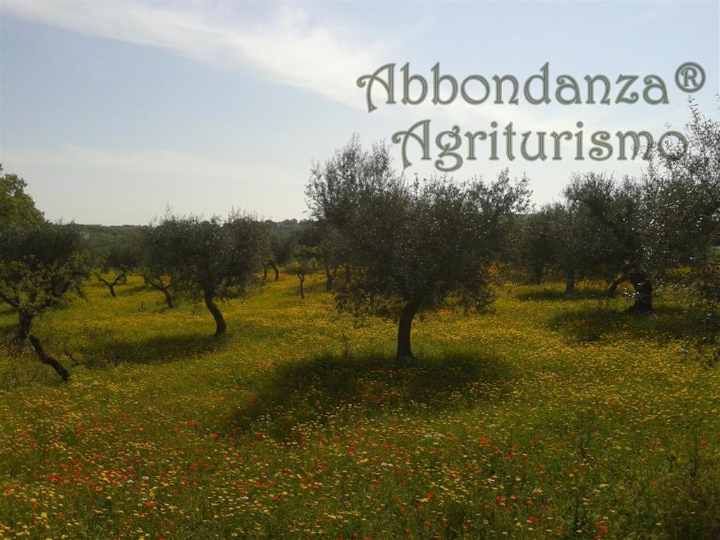Agriturismo Abbondanza Villa Alberobello Luaran gambar