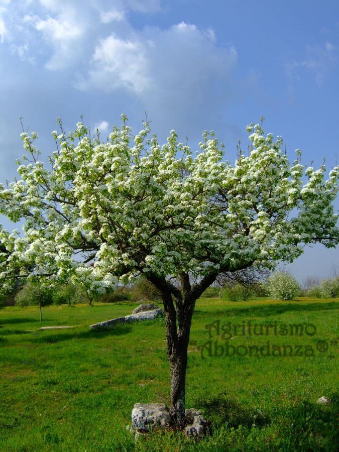 Agriturismo Abbondanza Villa Alberobello Luaran gambar