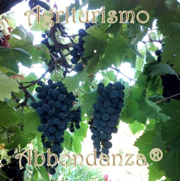 Agriturismo Abbondanza Villa Alberobello Luaran gambar